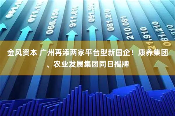 金风资本 广州再添两家平台型新国企！康养集团、农业发展集团同日揭牌