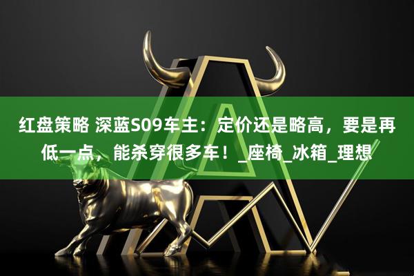红盘策略 深蓝S09车主：定价还是略高，要是再低一点，能杀穿很多车！_座椅_冰箱_理想