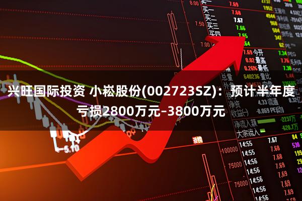 兴旺国际投资 小崧股份(002723SZ)：预计半年度亏损2800万元–3800万元