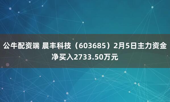 公牛配资端 晨丰科技（603685）2月5日主力资金净买入2733.50万元
