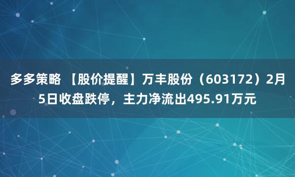 多多策略 【股价提醒】万丰股份（603172）2月5日收盘跌停，主力净流出495.91万元