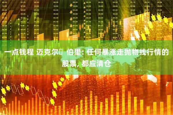 一点钱程 迈克尔・伯里: 任何暴涨走抛物线行情的股票, 都应清仓