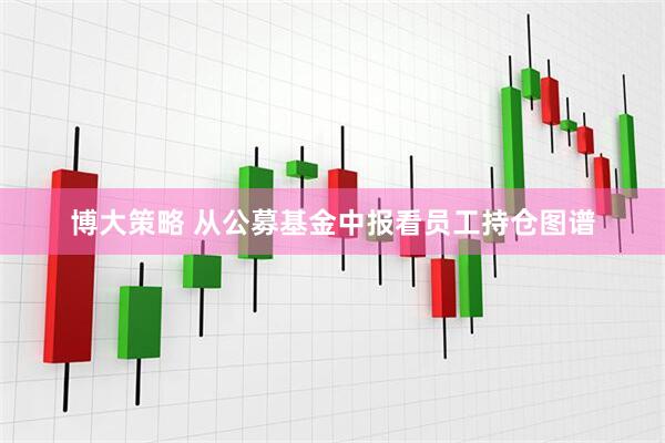 博大策略 从公募基金中报看员工持仓图谱